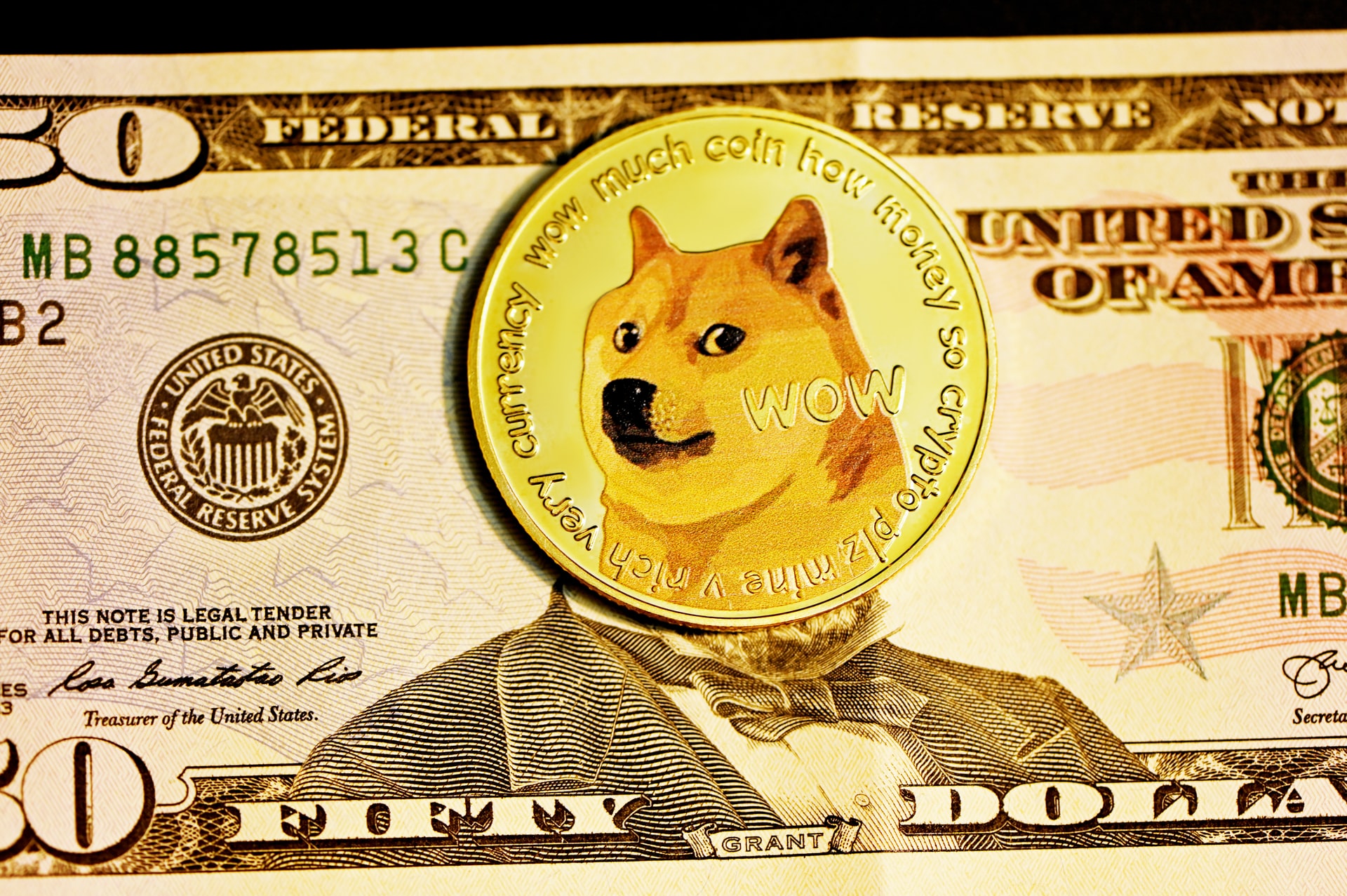 bitcoin doge crypto