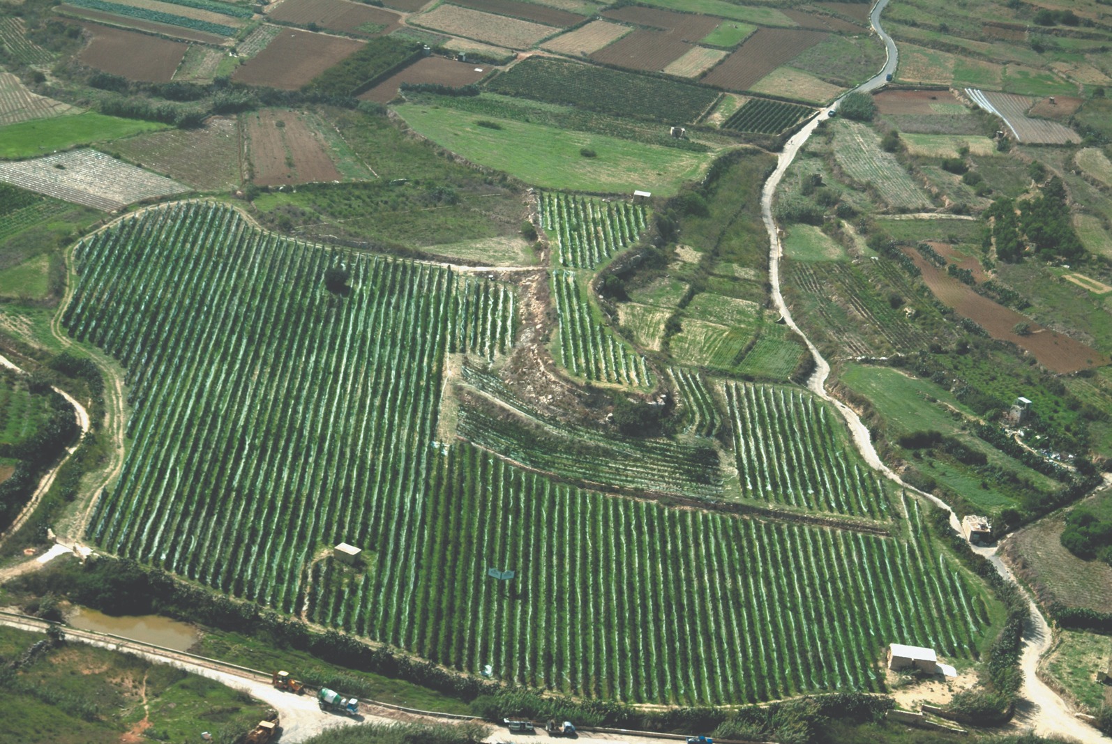 Marsovin Ramla Valley Estate in Gozo